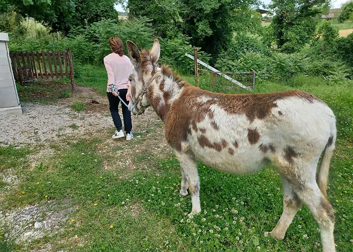 Le Cerque