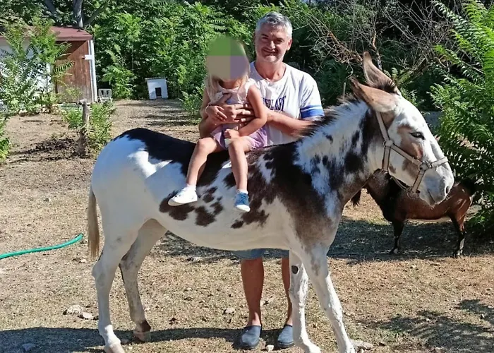 Le Cerque