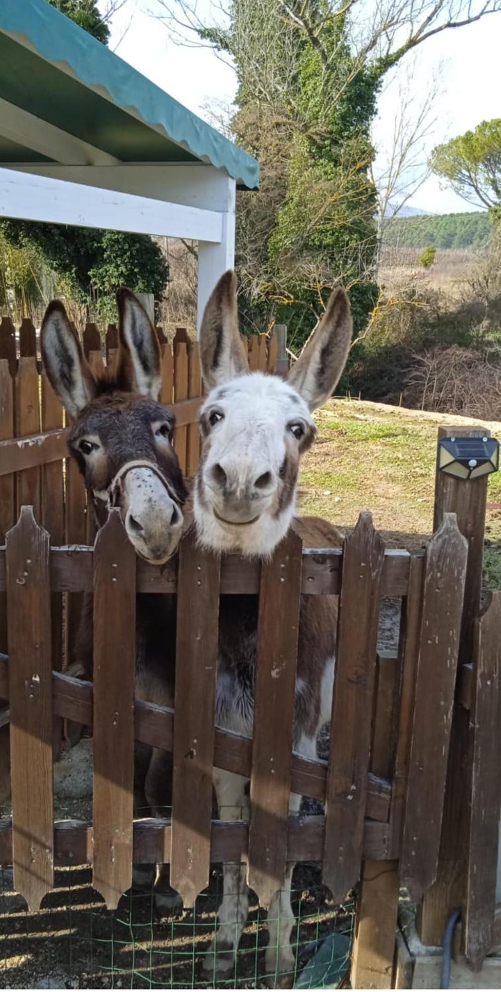 Bed & Breakfast Le Cerque Spoleto