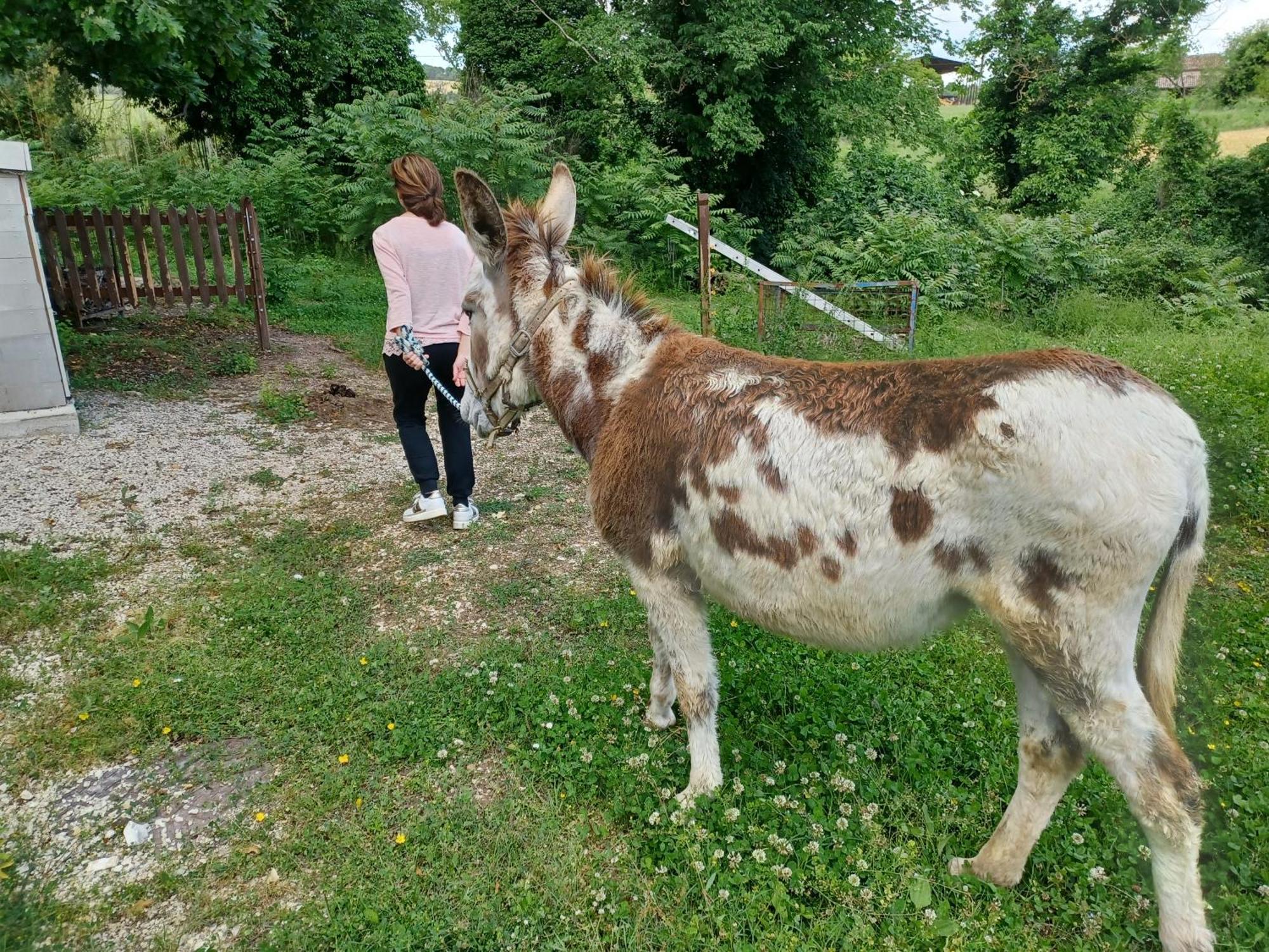 Le Cerque * Spoleto