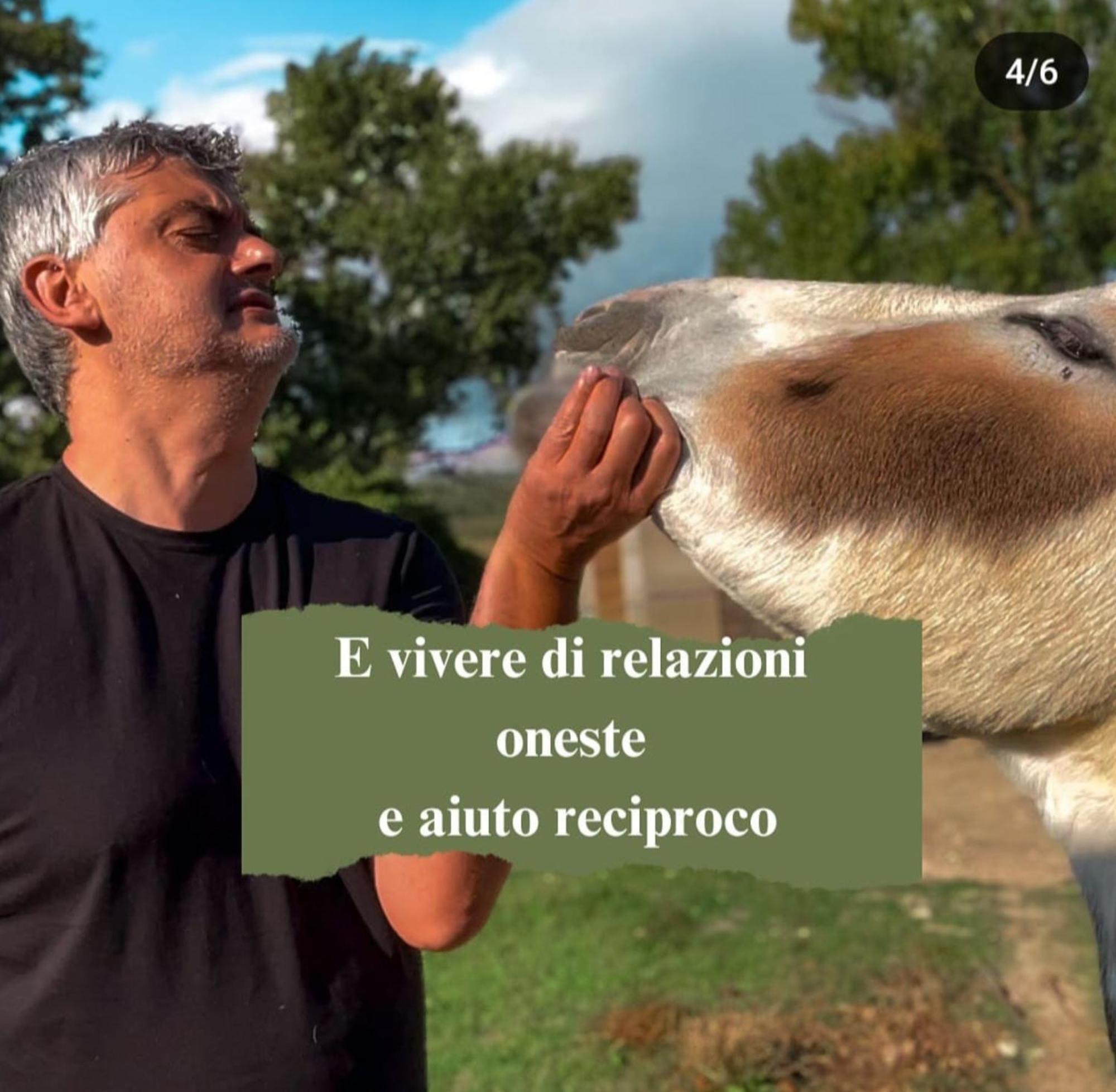 Le Cerque *